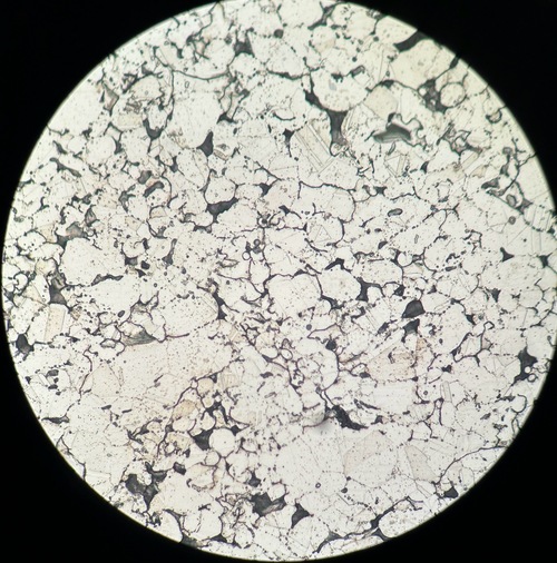 2025/02/07 鉄結果