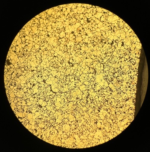 2024/10/18 SUS 結果