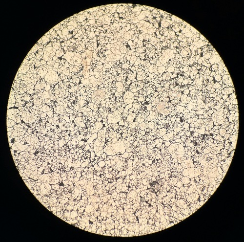 2024/10/18 銅 結果