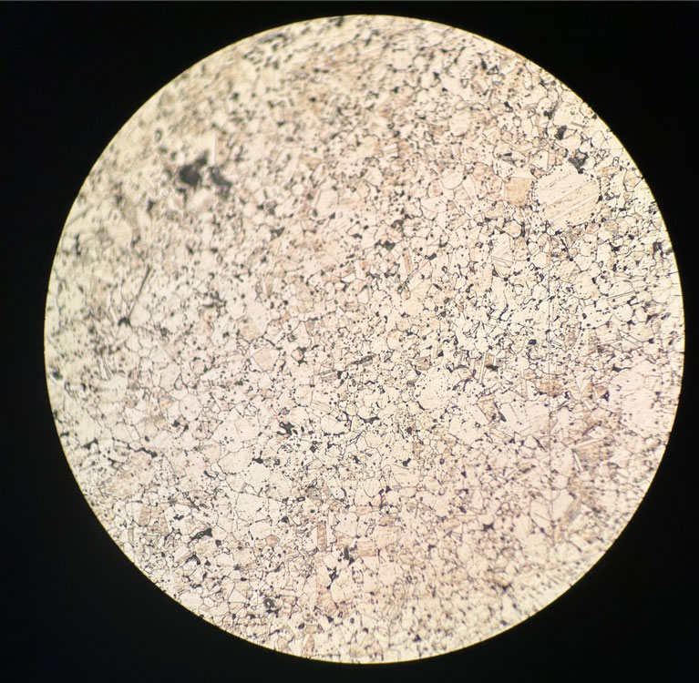 Optic Microstructure Analysis